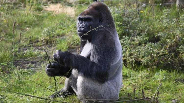 Снимка: Pixabay