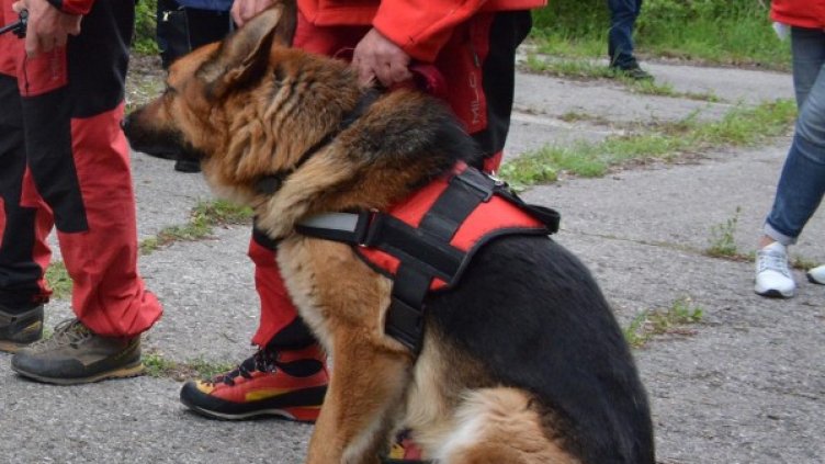 Снимка: архив Булфото