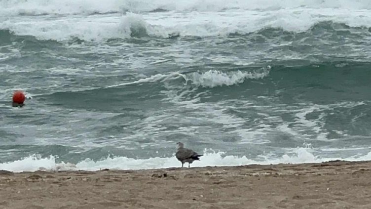 Снимка: Dnes.bg