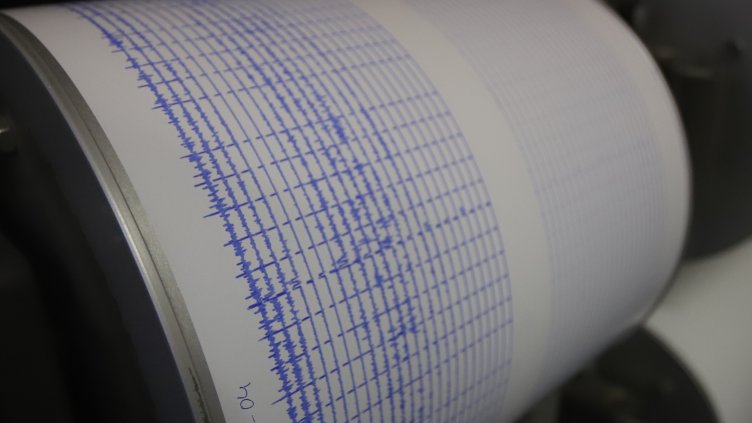 Снимка: архив, БГНЕС