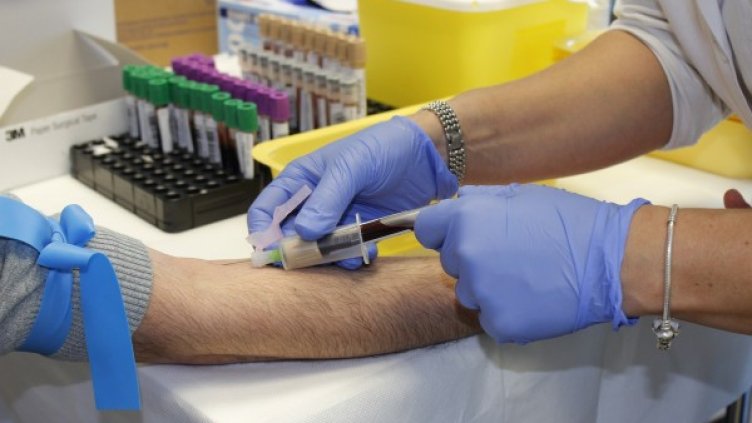 Снимка: Pixabay