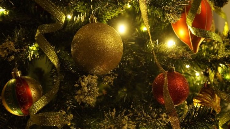 Снимка: Pixabay