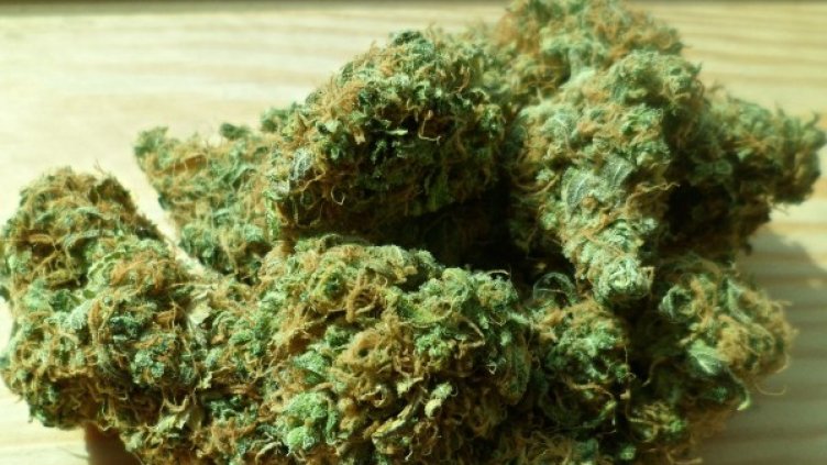 Снимка: Pixabay