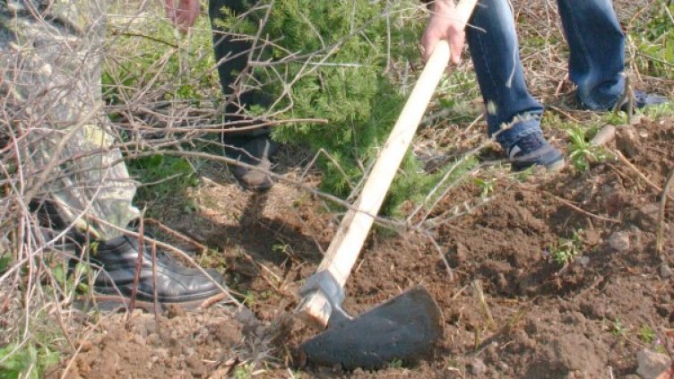 Архив: Булфото