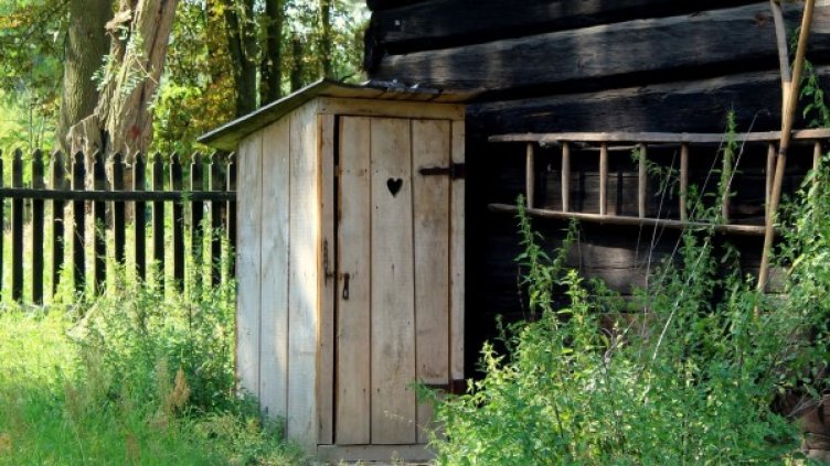 Снимка: Pixabay