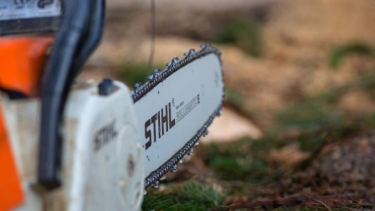 Снимка: Pixabay