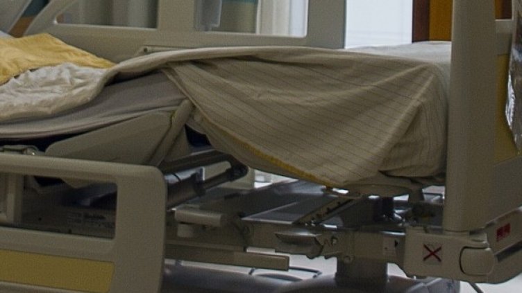 Снимка: Pixabay