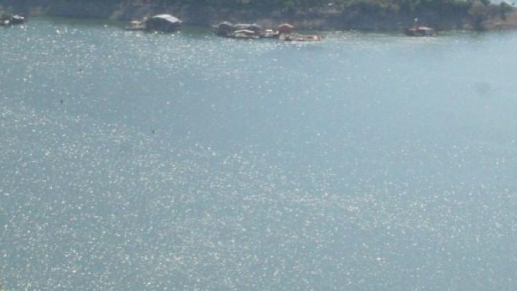 Архив: Булфото