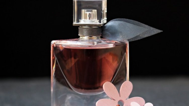 Снимка: Pixabay