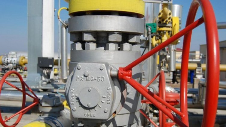 Снимка: архив, БулФото