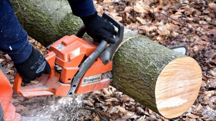 Снимка: Bulgaria ON AIR