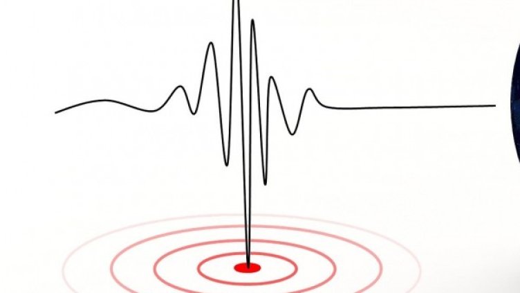 Снимка: Pixabay