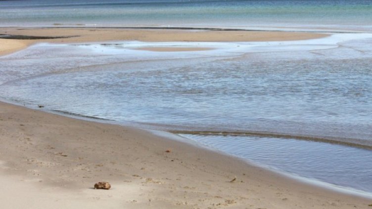 Архив: Булфото