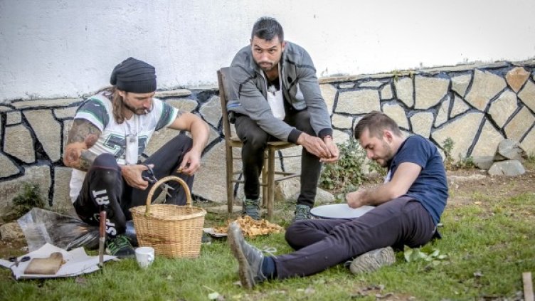 Снимка: Фермата