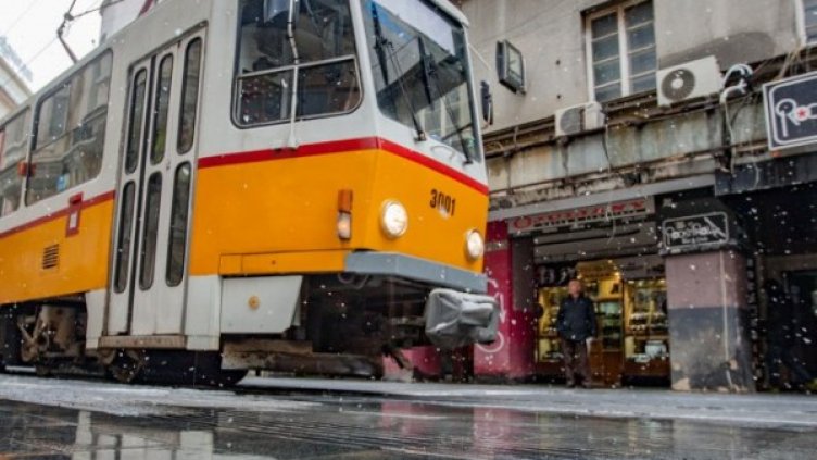 Снимка: Димитър Кьосемарлиев, Dnes.bg