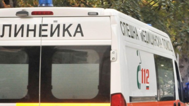 Снимка: BulFoto архив