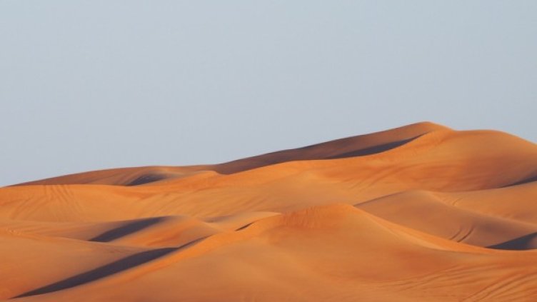 Снимка: Pixabay