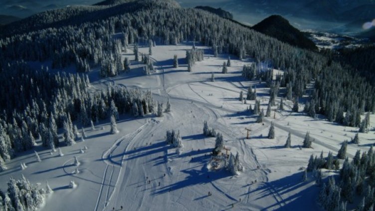 Снимка: архив, БулФото