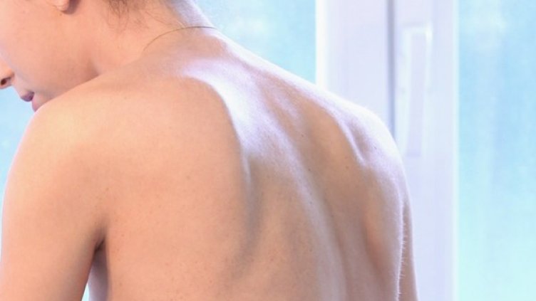 Снимка: Pixabay