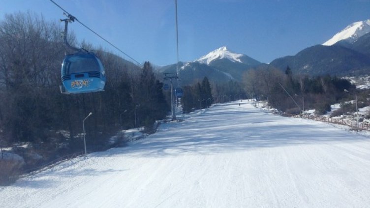 Снимка: Pixabay