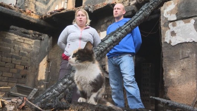 Снимка: Кадър bTV