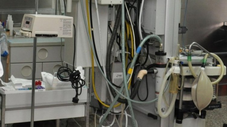 Снимка: архив, БулФото