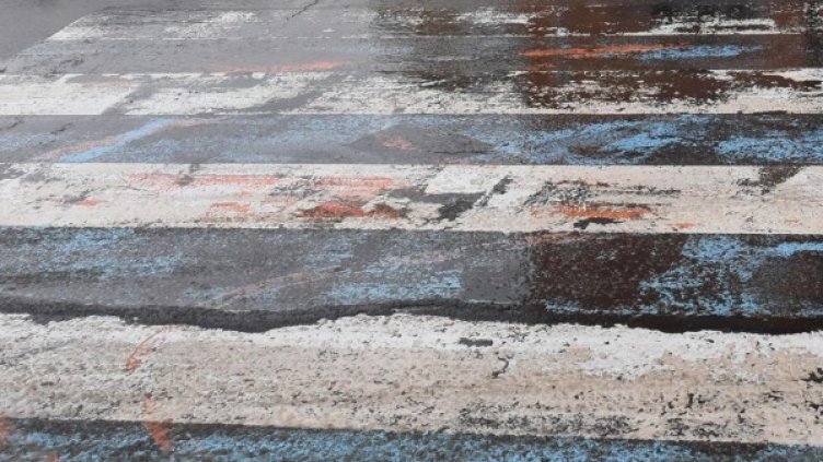 Снимка: Булфото архив