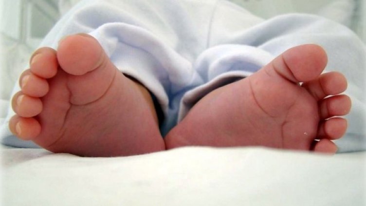 Снимка: flickr