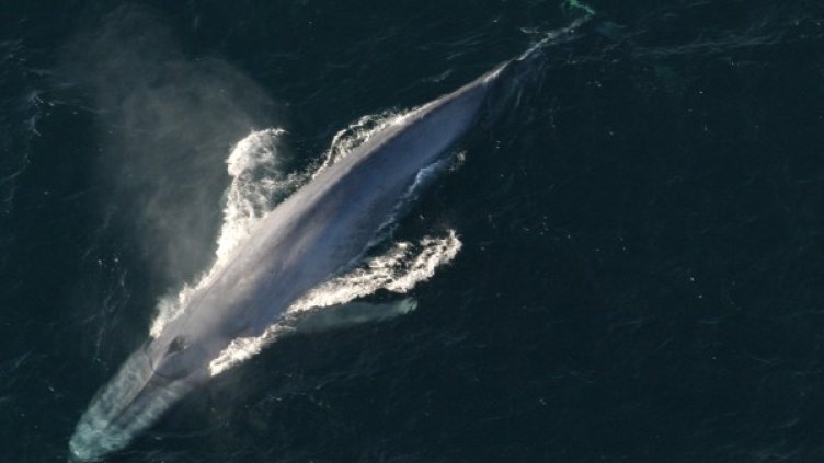 Снимка: Ройтерс