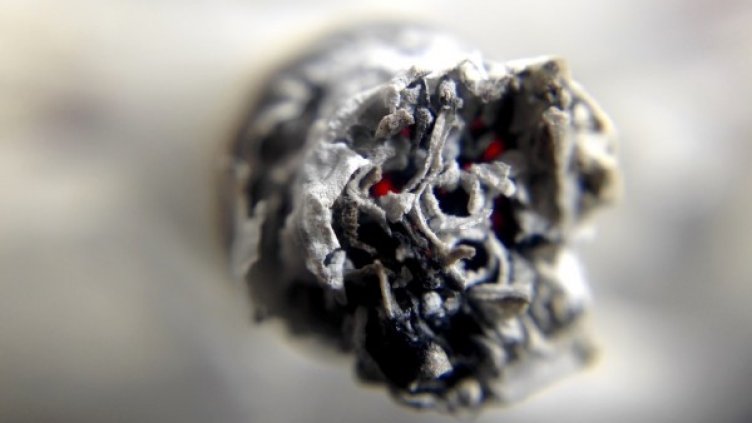 Снимка: Pixabay