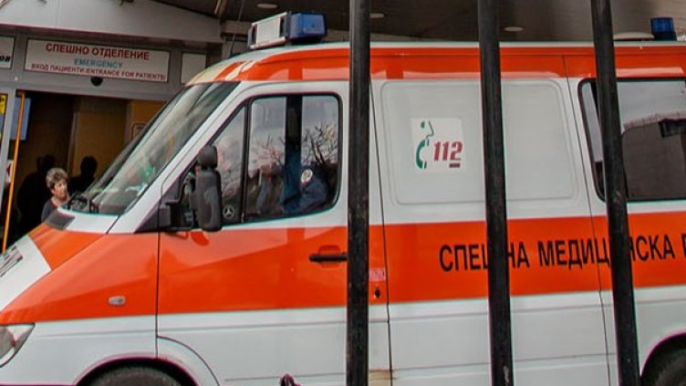 Снимка: Димитър Кьосемарлиев, Dnes.bg