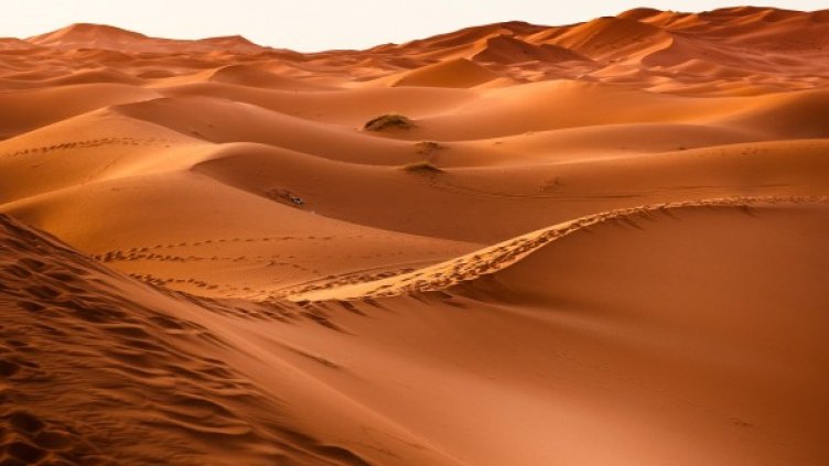 Снимка: Pixabay