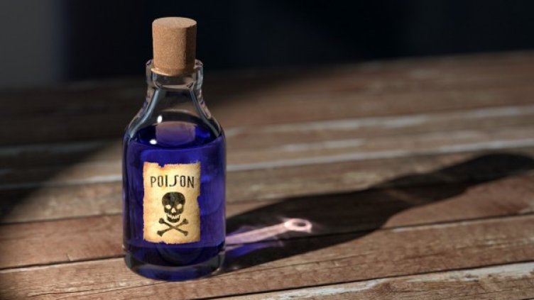 Снимка: Pixabay