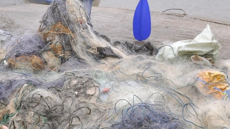 Снимка: Булфото, архив