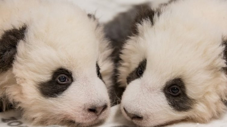 Снимка: Ройтерс