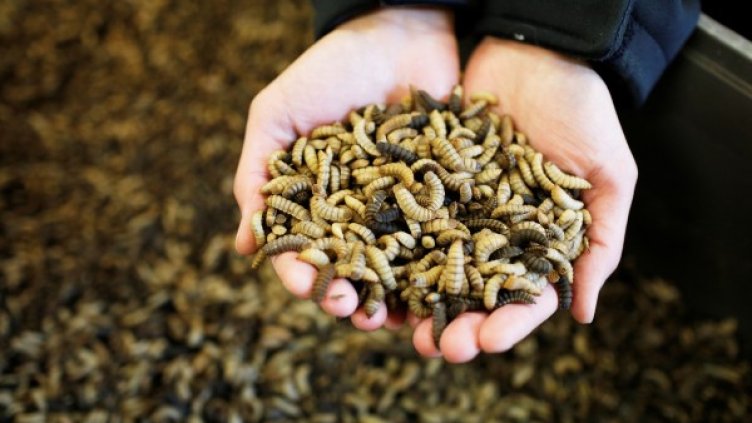 Снимка: Reuters