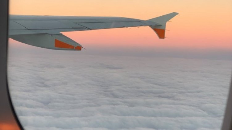 Снимка: pexels.com