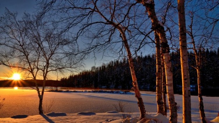 Снимка: pexels.com