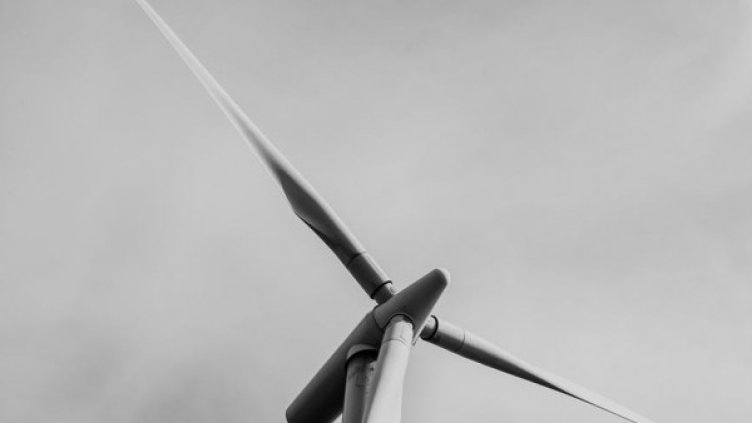 Снимка: pexels.com