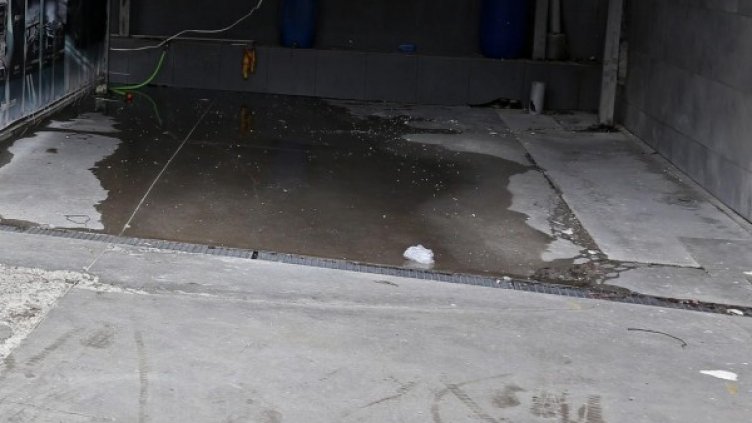 Снимка: Булфото