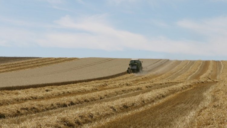 Източник: Агрион
Източник: Агрион