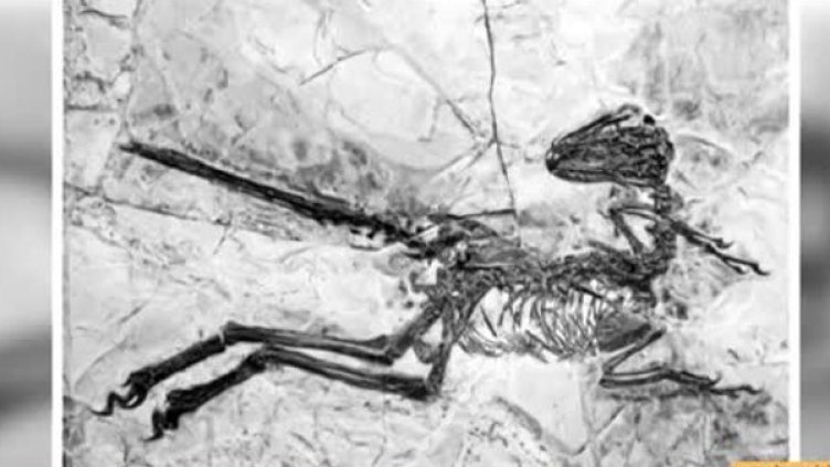 Снимка: Bulgaria ON AIR