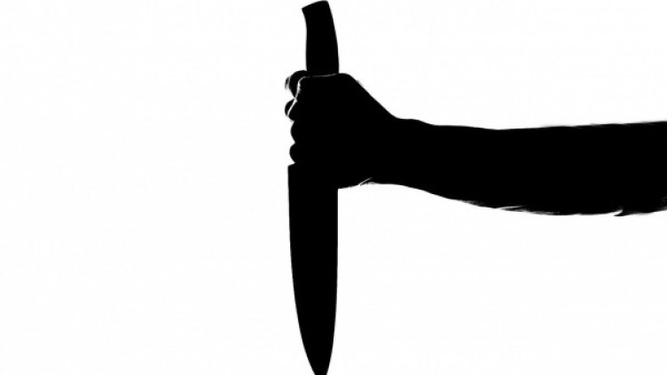 Снимка: Pixabay