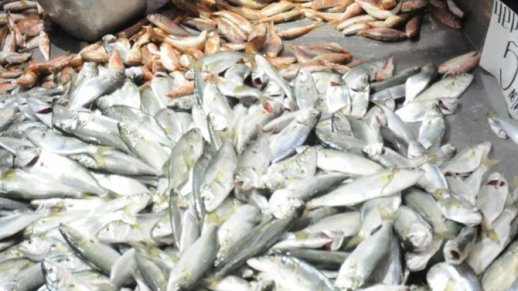 Архив: Булфото