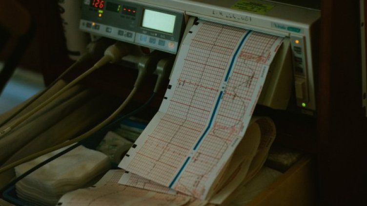 Снимка: Pixabay