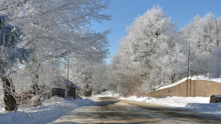 Снимка: БТА, архив