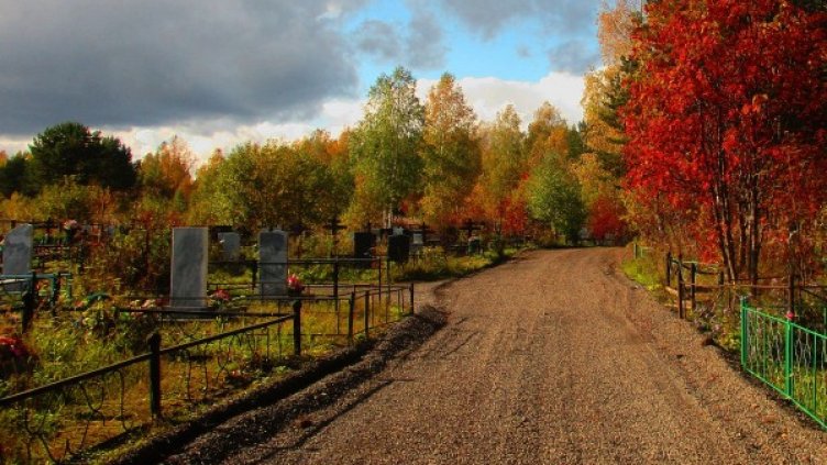 Снимка: Pixabay