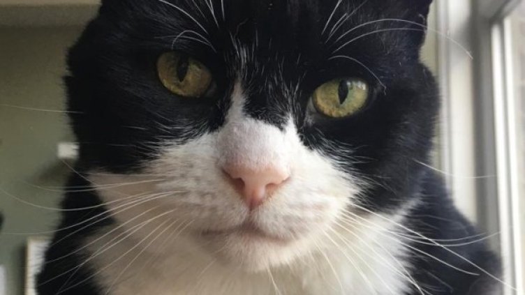 Снимка: Twitter