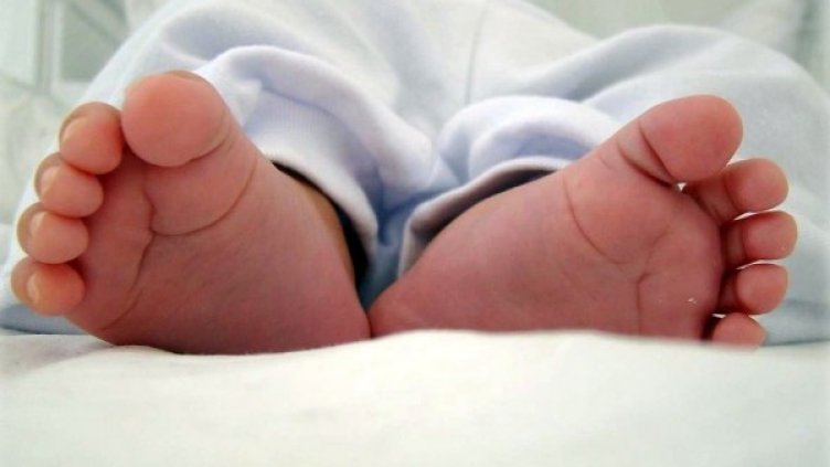 Снимка: flickr