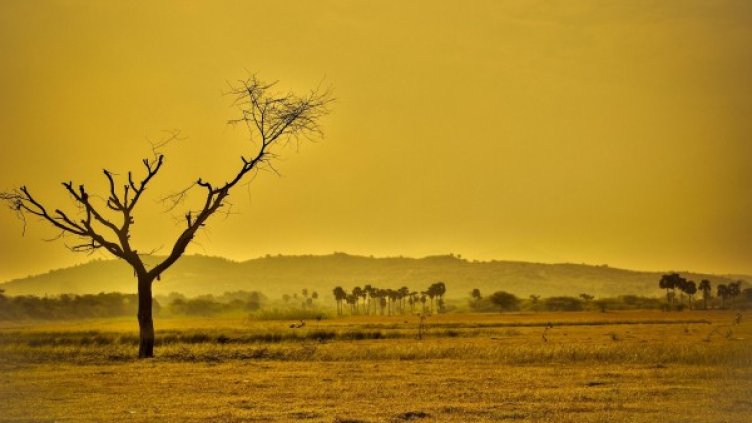 Снимка: Pixabay